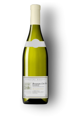 bourgogne-cote-d-or-B